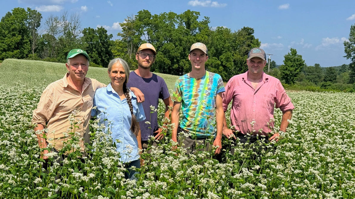 The farmers of Oechsner Farms standing in a flowering field of buckwheat. Photo courtesy of The Sand County Foundation.